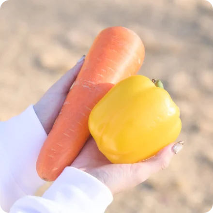 にんじんとパプリカ