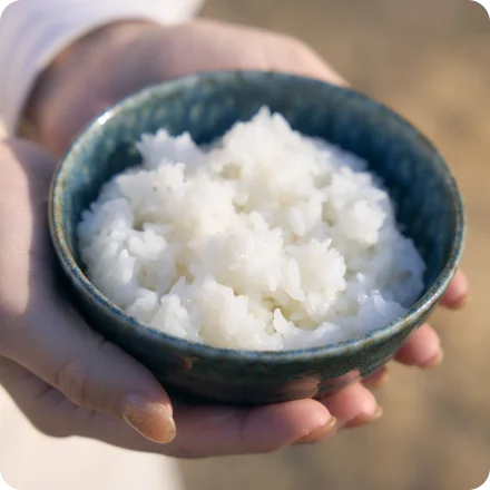 ごはんを持っている