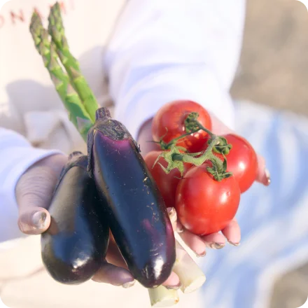 なすとトマトとアスパラガス